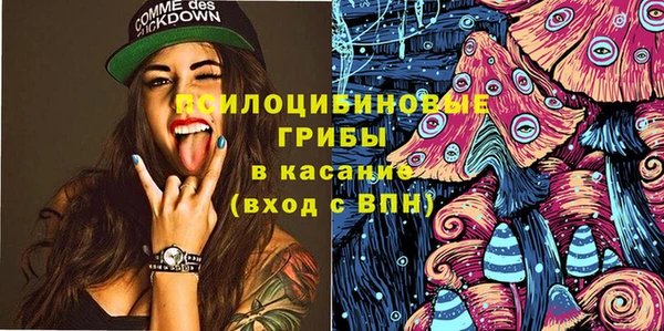 прущие крисы Михайлов