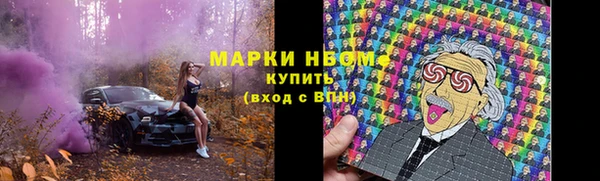 ешки Надым